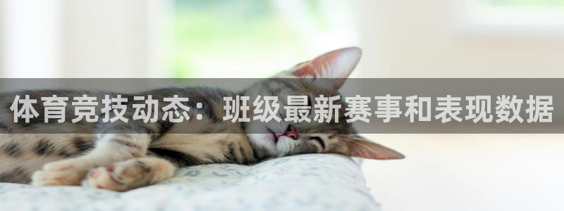 谈球吧