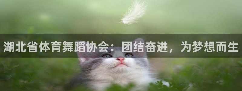 谈球吧体育