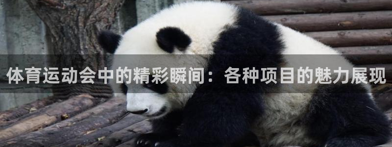 谈球吧体育