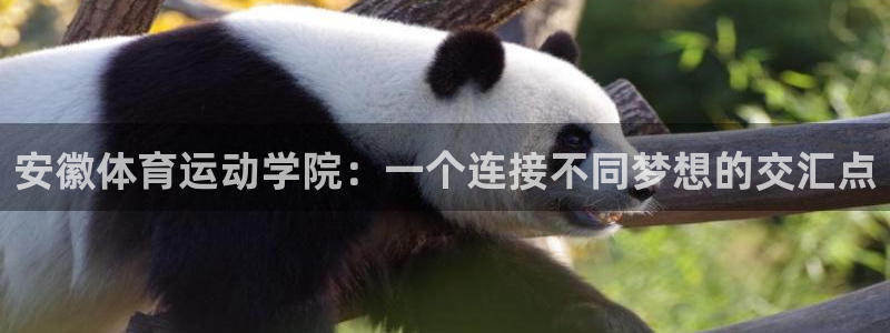 谈球吧