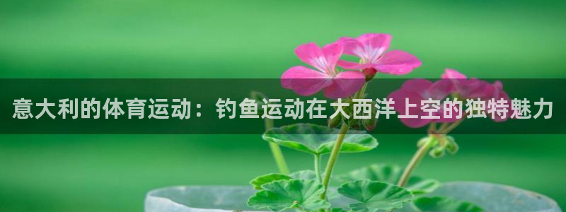 谈球吧体育