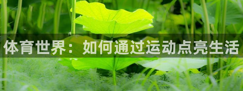 谈球吧体育