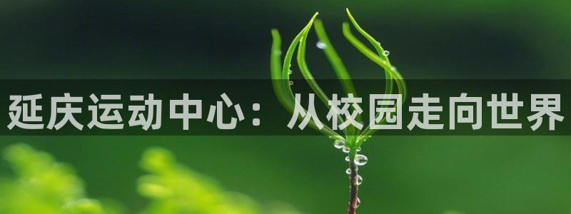 谈球吧体育